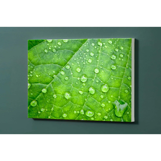 Sheet Magnetic Wall Mounted Photo Memo Board