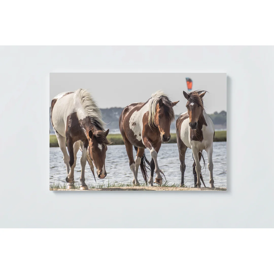 Horses Motif Magnetic Wall Mounted Cork Board