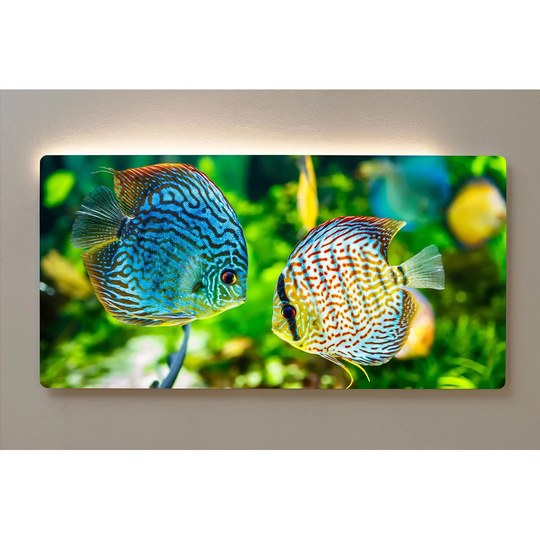 Backlight Motif Wall Picture Aquarium Discus Magnetic Cork Board