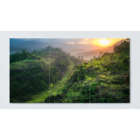 Rainforest Motif Magnetic Wall Mounted Cork Board
