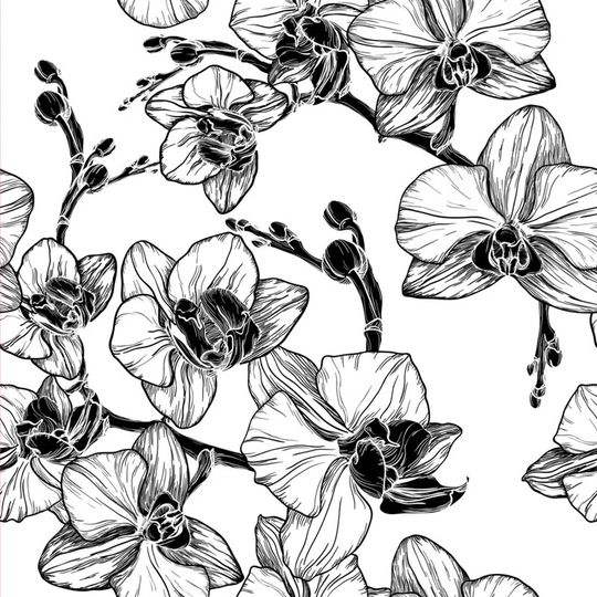 Walllpaper Roll 360X250cm Mural Decoration Wallpaper Material With Print Kitchen Livingroom Bedroom - Orchids Floral