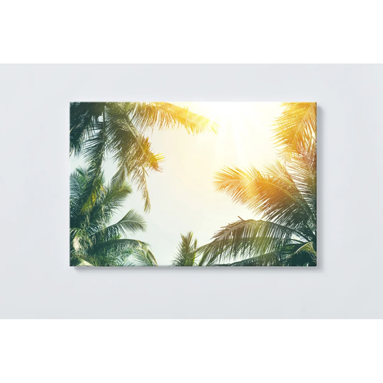 Palm Trees Magnetic Wall Mounted Cork Board