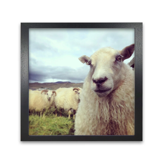 Whats Up by Nur Mut - Picture Frame Photograph Print on Paper