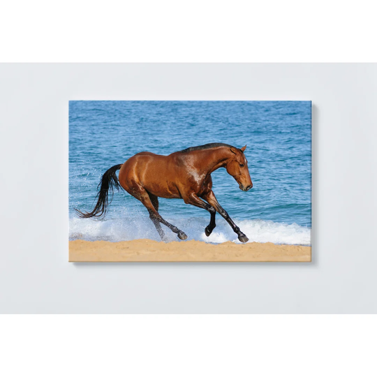 Horse Magnetic Wall Mounted Cork Board