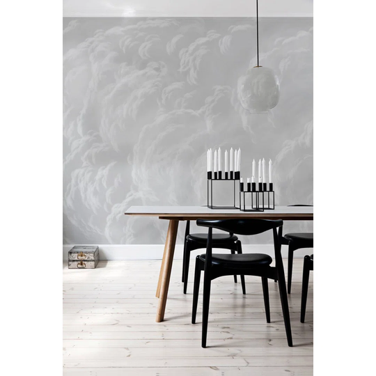 Janitza 2.5m x 2.5m Matte Wallpaper Roll