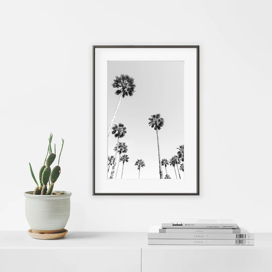 Moroccan Palm Trees - Picture Frame Photograph Print on Paper