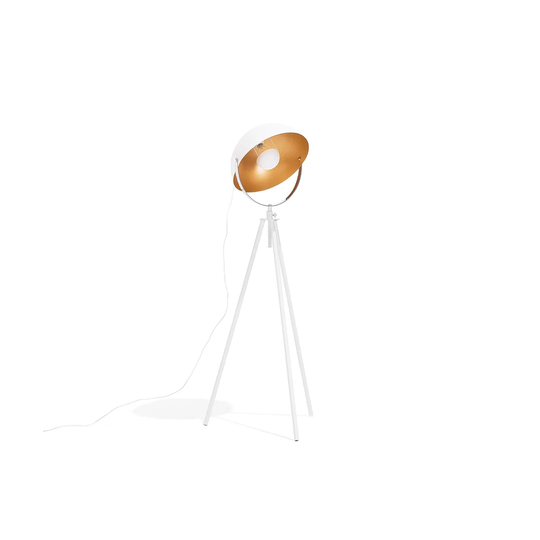 Caringorm 170cm Tripod Floor Lamp