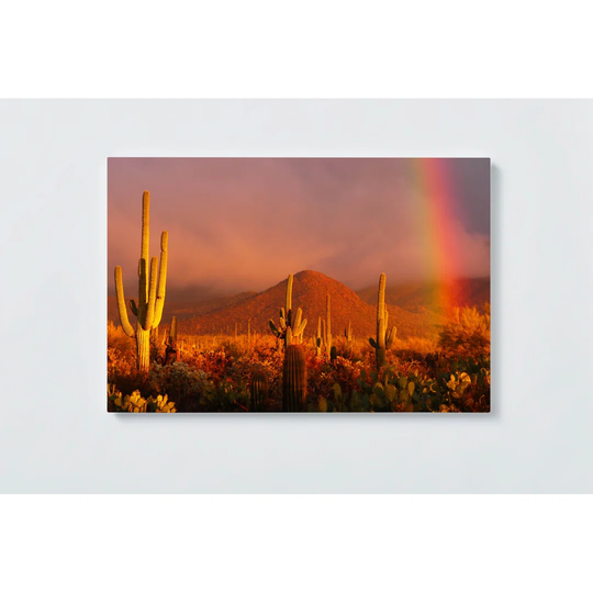 Desert Cactus Magnetic Wall Mounted Cork Board