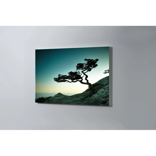 Tree Magnetic Wall Mounted Cork Board
