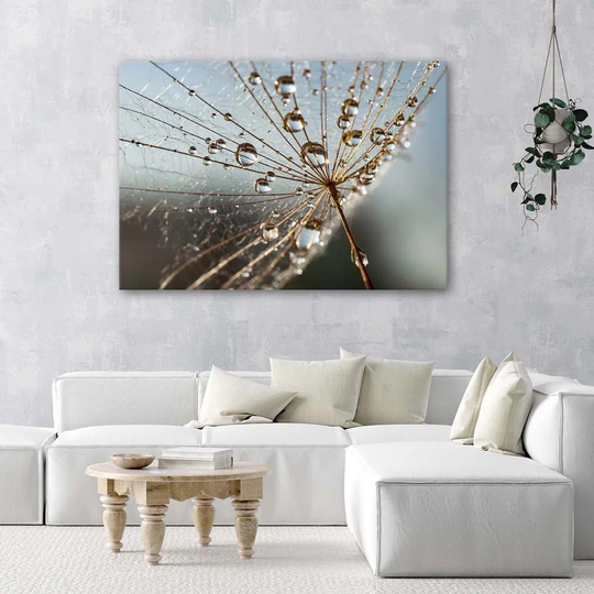 Canvas Print Dandelion Plant