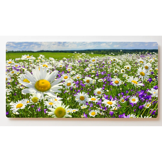 Backlight Motif Wall Picture Flower Meadow Magnetic Cork Board