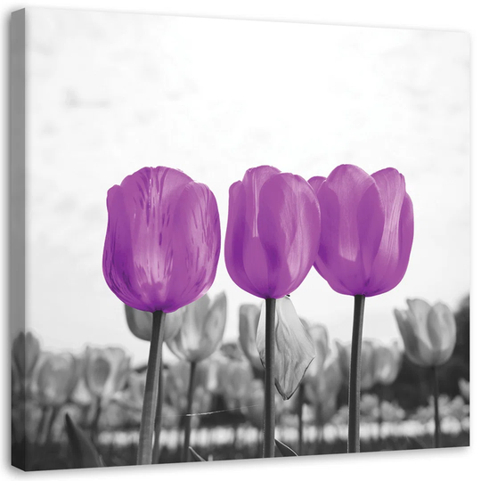 Canvas Print Tulips Meadow Nature Flower Purple