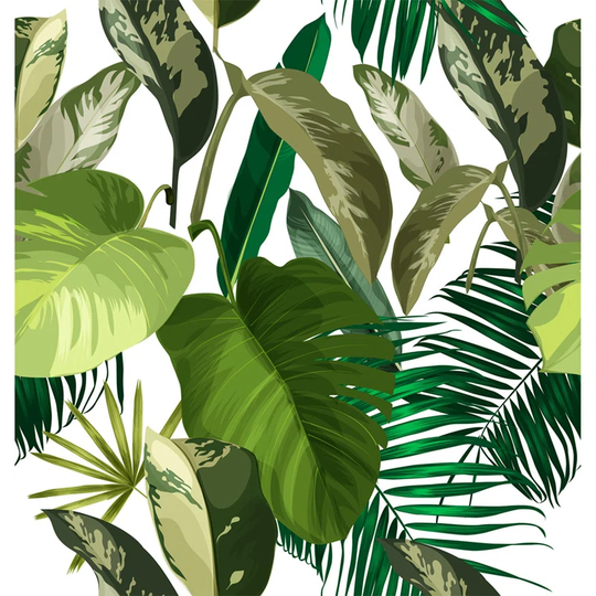 Annily 3.6m x 2.5m Matte Wallpaper Roll