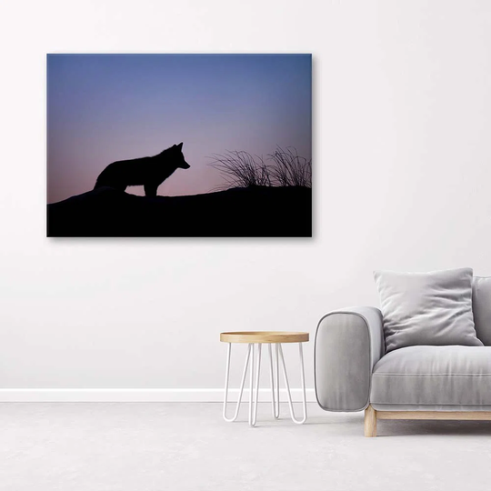 Canvas Print Wolf Purple Sunset