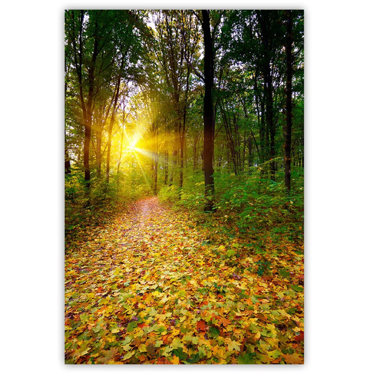 Canvas Print, Orange Landscapes 16299