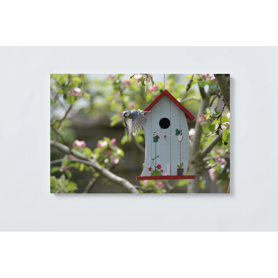 Birdhouse Magnetic Wall Mounted Cork Board