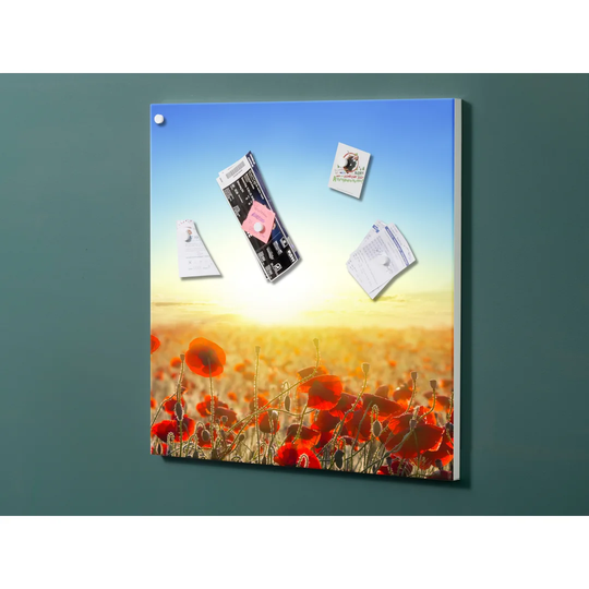Notiz Motive Poppy Flowers Magnetic Wall Mounted Cork Board