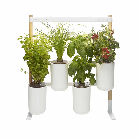 Pret A Pousser Modulo Wall-mounted Garden With Basil Lemon, Basil Chives, Leaf Mustard Pods