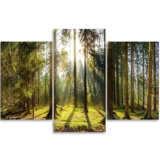 Canvas Print Forest Nature Landscape Sunbeams