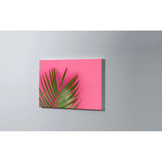Palm Magnetic Wall Mounted Cork Board