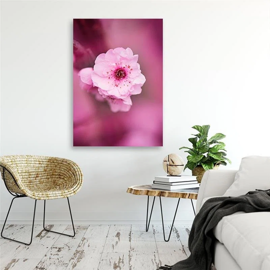 Canvas Print Cherry Blossom Pink Nature