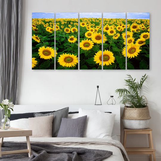 Sunflowers Meadow