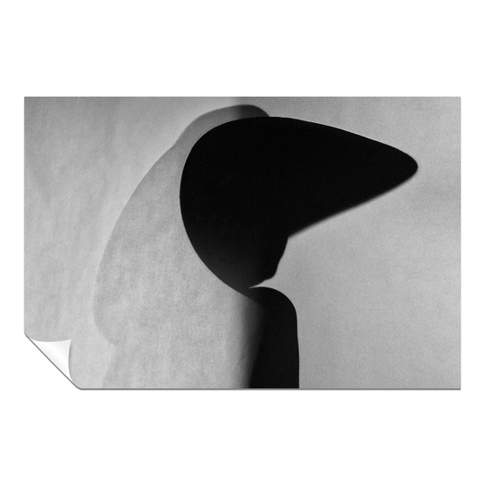Panther Print Fine Art Prints Abstract Black & White Woman Silhouette Artistic Unframed Poster, Pictures For Home Walls, Bedroom, Living Room & Bathro