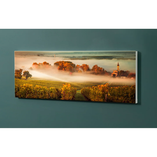 Notiz Motive Vineyards Magnetic Wall Mounted Cork Board