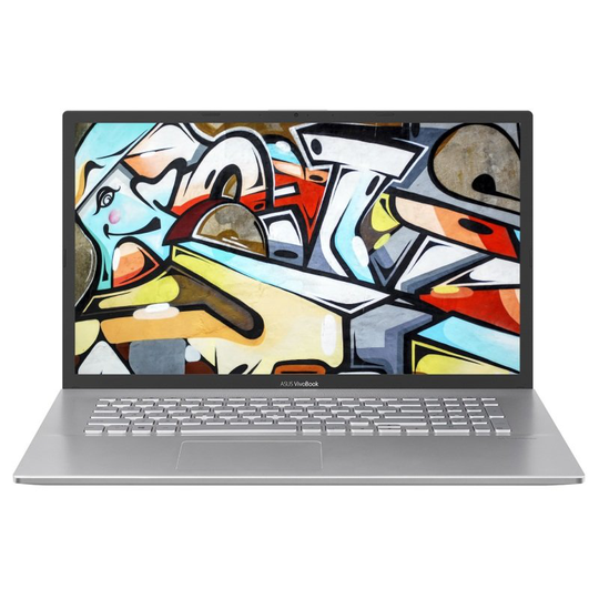 Asus VivoBook 17 Core i3 8GB 1TB SSD 17.3" HD+ Win10 Home Laptop