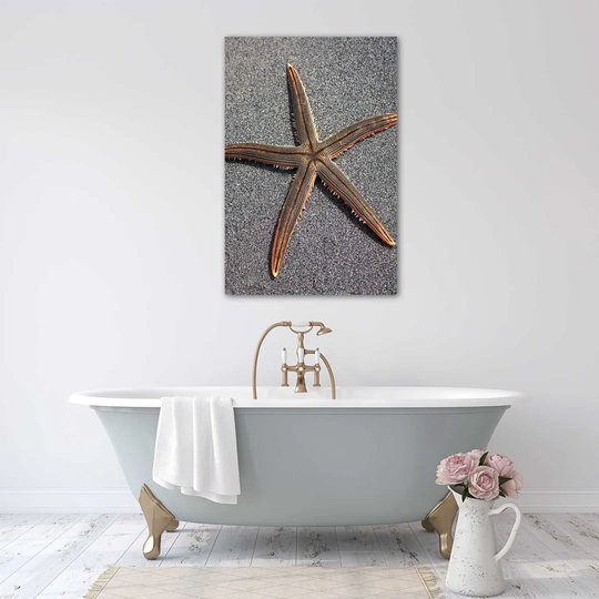 Poster, Starfish On The Seashore
