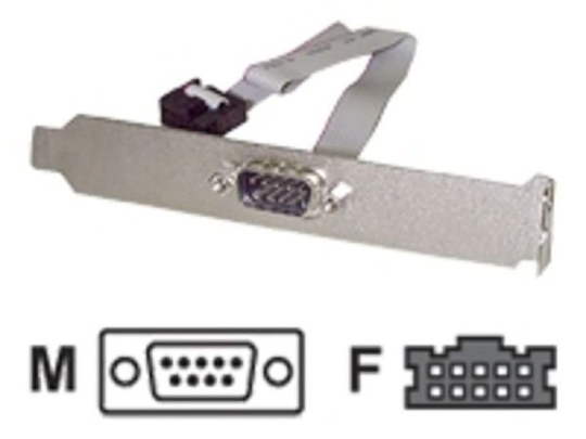 StarTech.com 16in (40cm) 9 Pin Serial Male to 10 Pin Motherboard Header Slot Plate - motherboard Serial Port Adapter