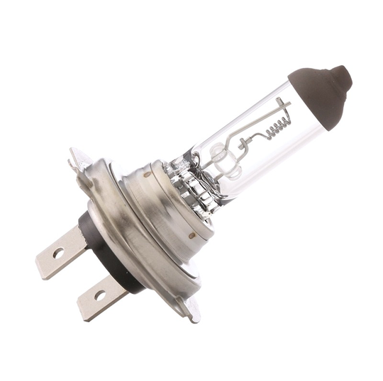 RIDEX Light Bulbs MERCEDES-BENZ,VOLVO,IVECO 106B0013 1637338,1965507,3C4613D140AA Bulb, spotlight 21LN50410,259010091,81259010091,ZF259010007,215226