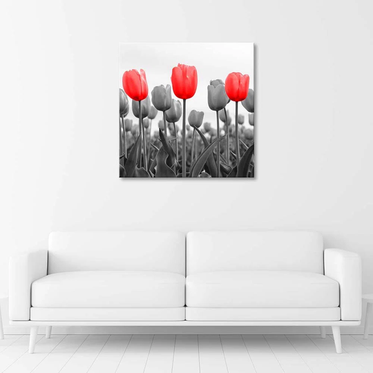 Canvas Print Red Tulip In The Meadow