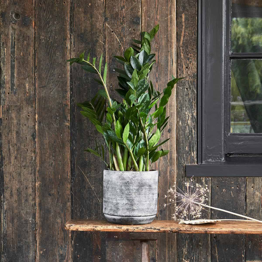 Ivyline Tivoli Planter Earth - H25Cm X D26Cm