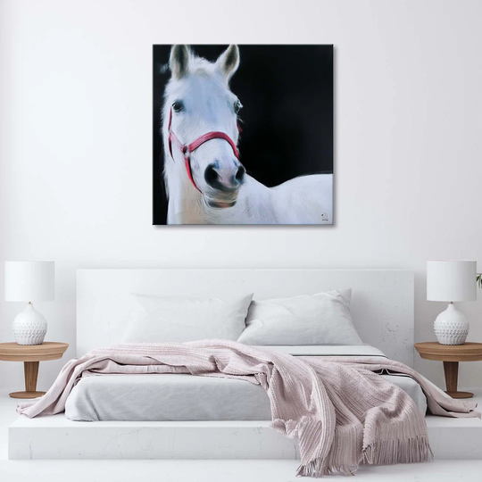 Canvas Print White Horse Animals