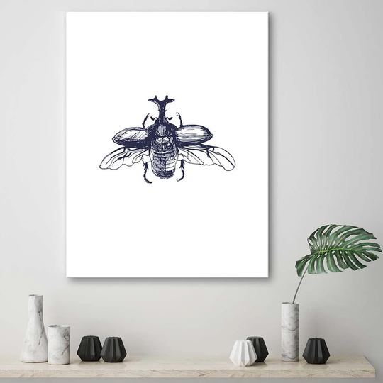 Canvas Print Beetle Insect Nature Black And White
