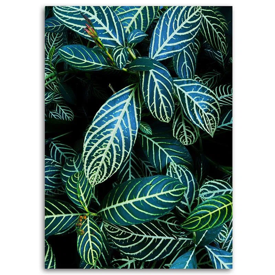Canvas Print Tropical Leaves Nature