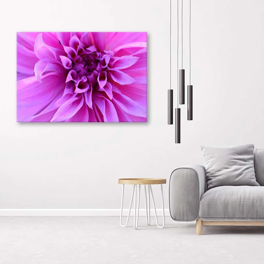 Canvas Print Pink Flowers Plants Nature