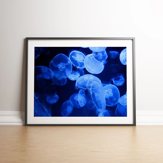 Blue Jellyfish