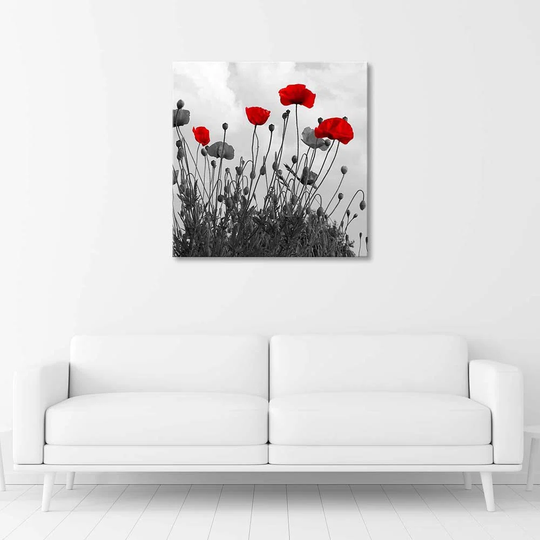 Canvas Print Corn Poppy Nature Flower