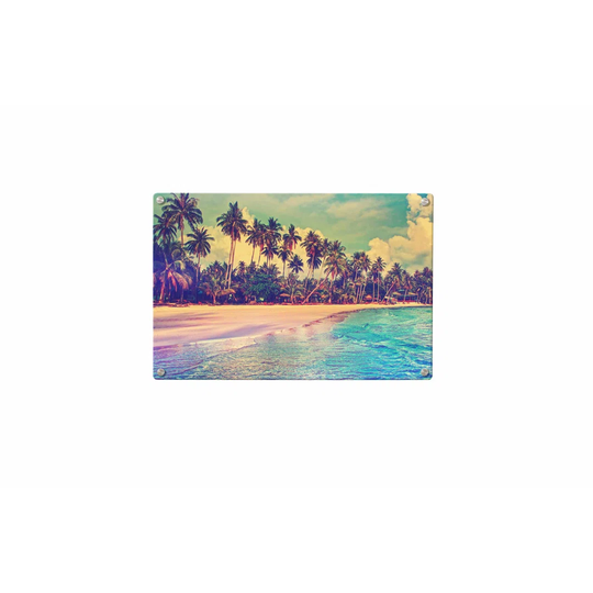 Beach Palms Magnetic Wall Mounted Photo Memo Board