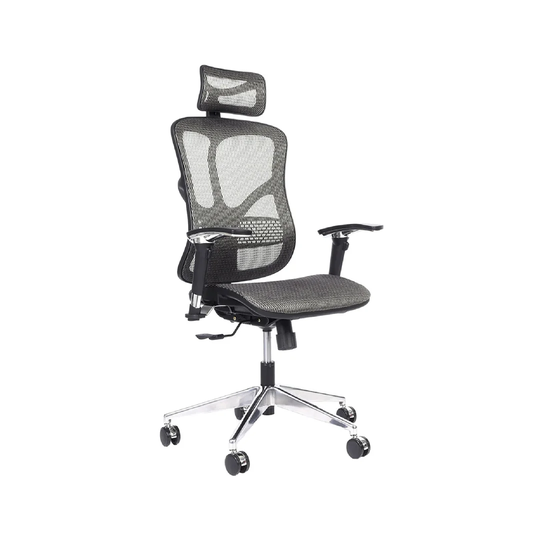 Havell Ergonomic Mesh Desk Chair