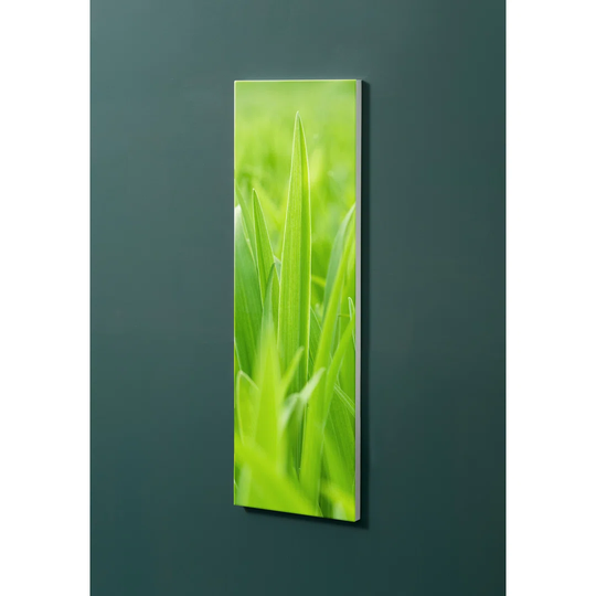Notiz Motive Grass Magnetic Wall Mounted Cork Board
