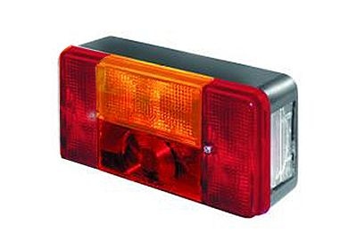 Combination Tail Light 9902923