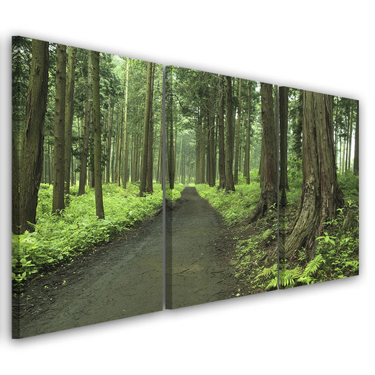 Canvas Print Forest Street Trees Nature