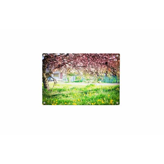 Meadow Trees Magnetic Wall Mounted Photo Memo Board