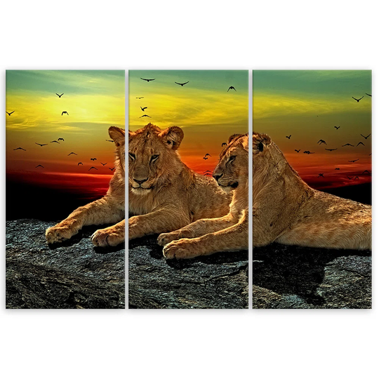 Canvas Print Lion Savanna Africa Nature