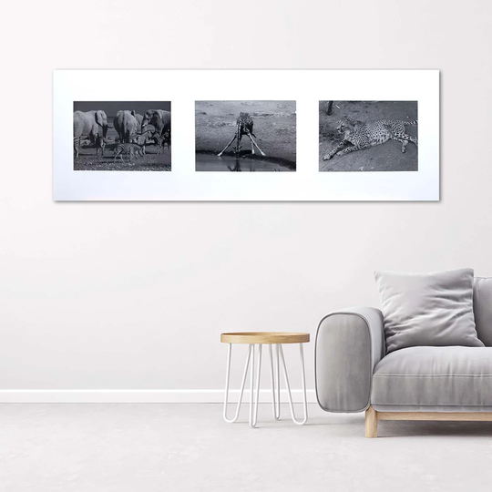 Canvas Print Africa Animals Black & White