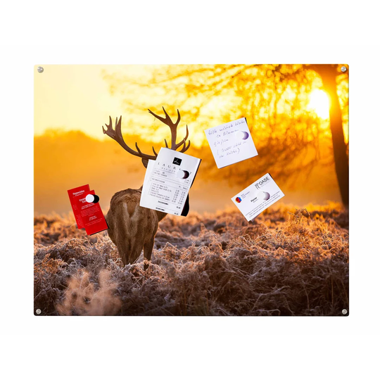 Deer Magnetic Wall Mounted Photo Memo Board