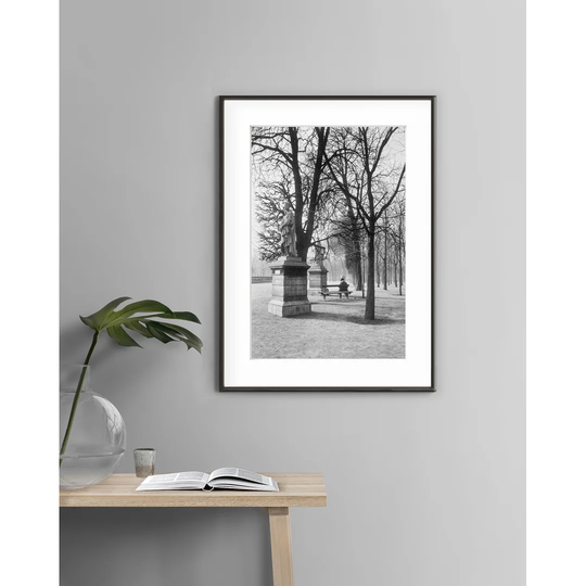 Paris - Jardin Du Luxembourg 3 - Picture Frame Photograph Print on Paper